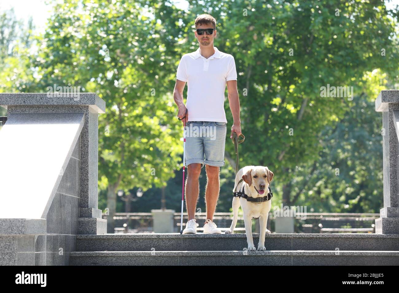 Guide dog helping young blind man in the city Stock Photo