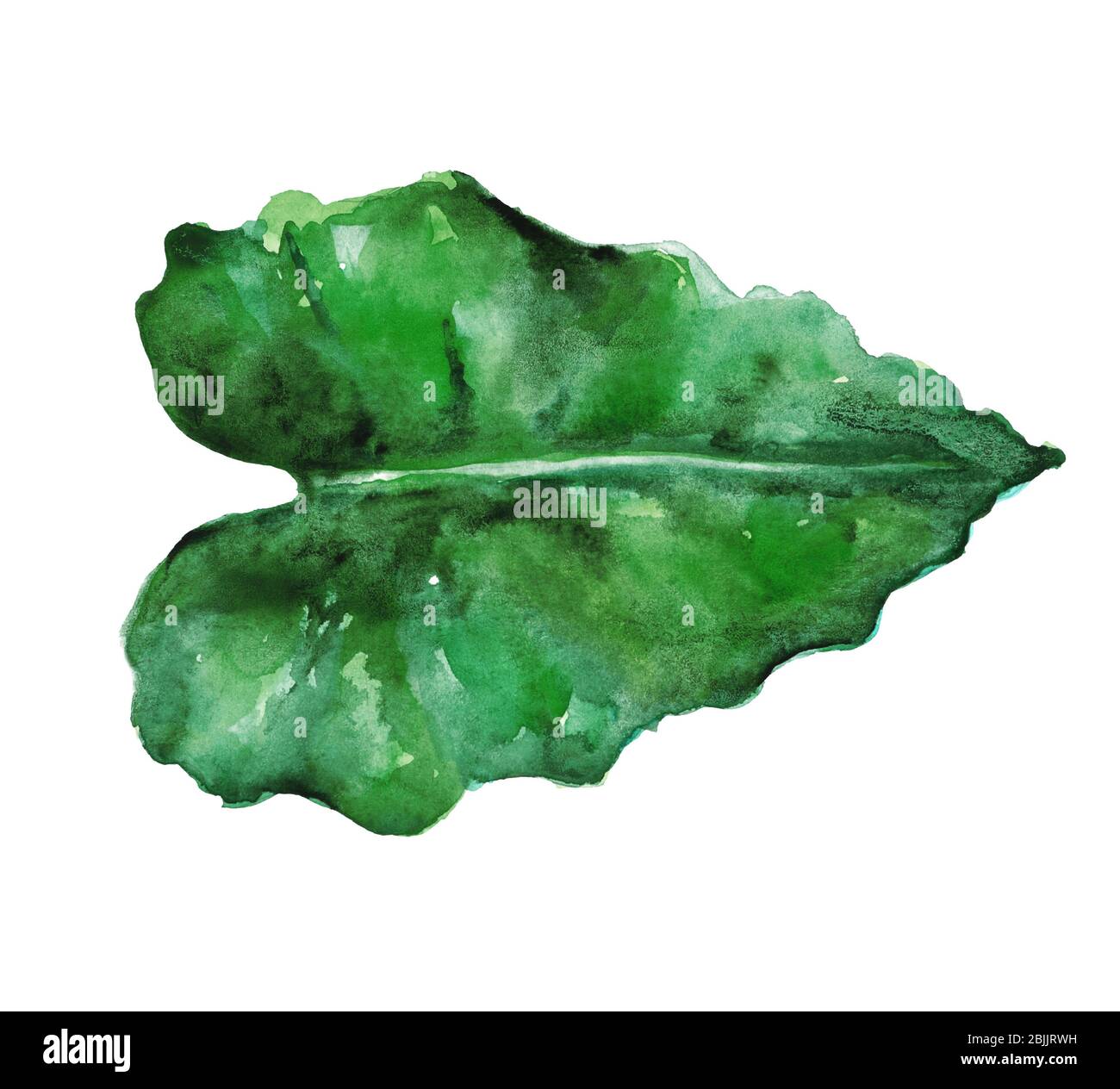 Watercolor tropical leaf isolated on white Stock Photo - Alamy