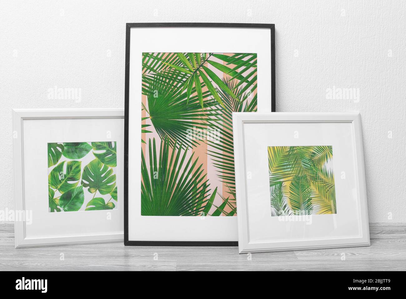 Framed pictures of tropical leaves on white wall background Stock Photo ...