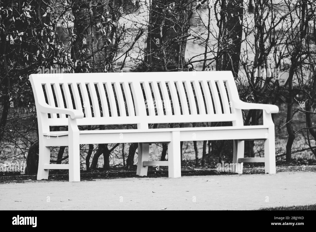 White wooden bench in park - black and white photograph Stock Photo