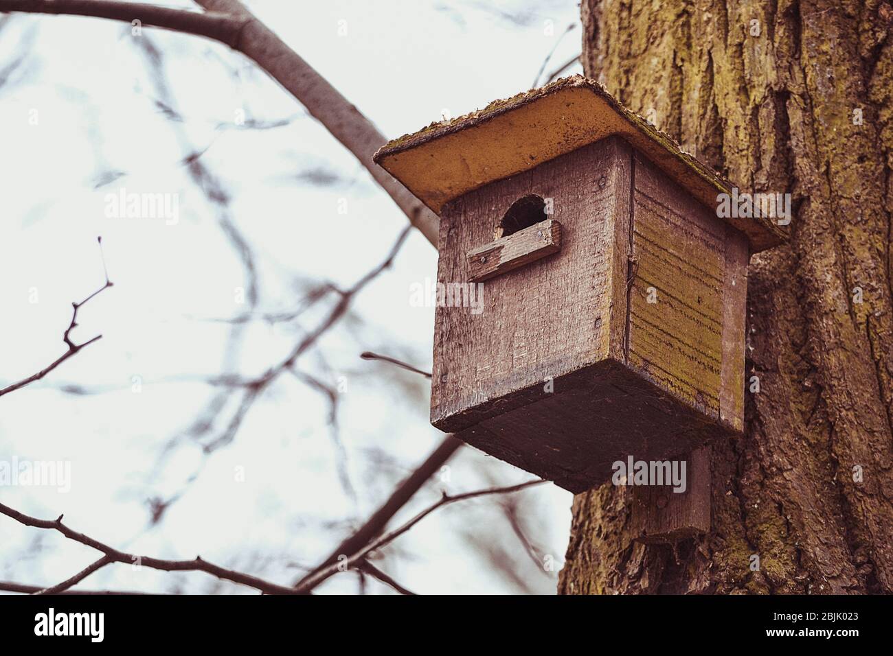 Bird house hanging on a tree Stock Photo Alamy