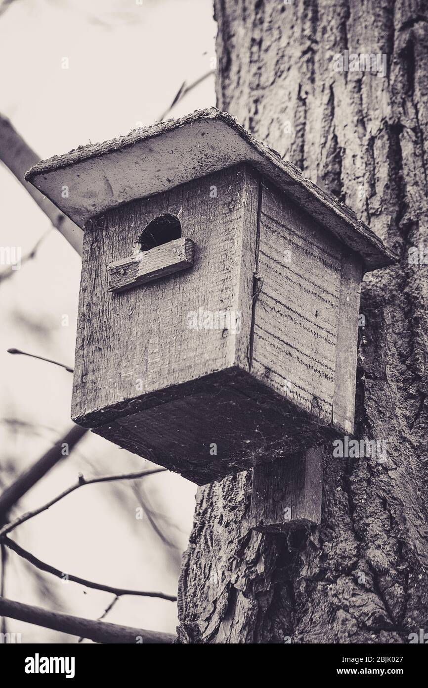 Bird house hanging on a tree Stock Photo Alamy