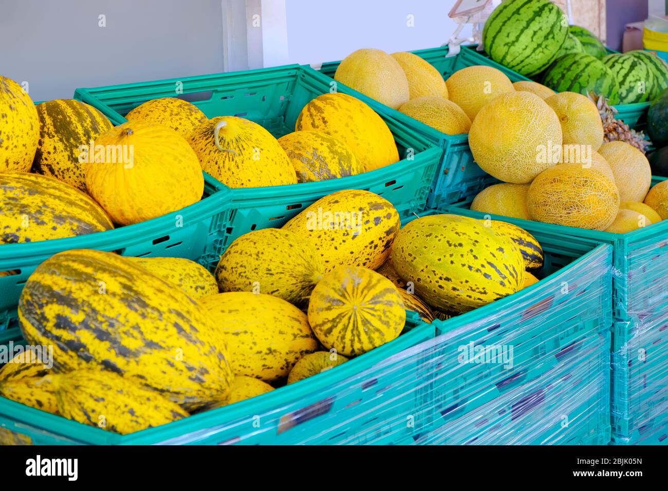 Fresh melons and watermelons at market Stock Photo Alamy