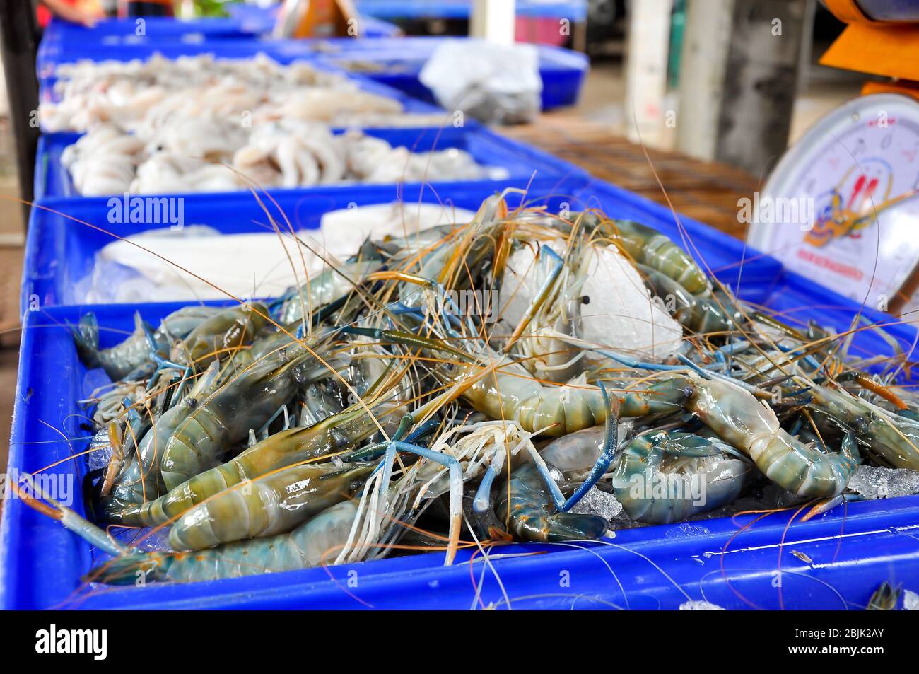 Fresh Giant malaysian prawn are on sale in the bazaar Stock Photo Alamy