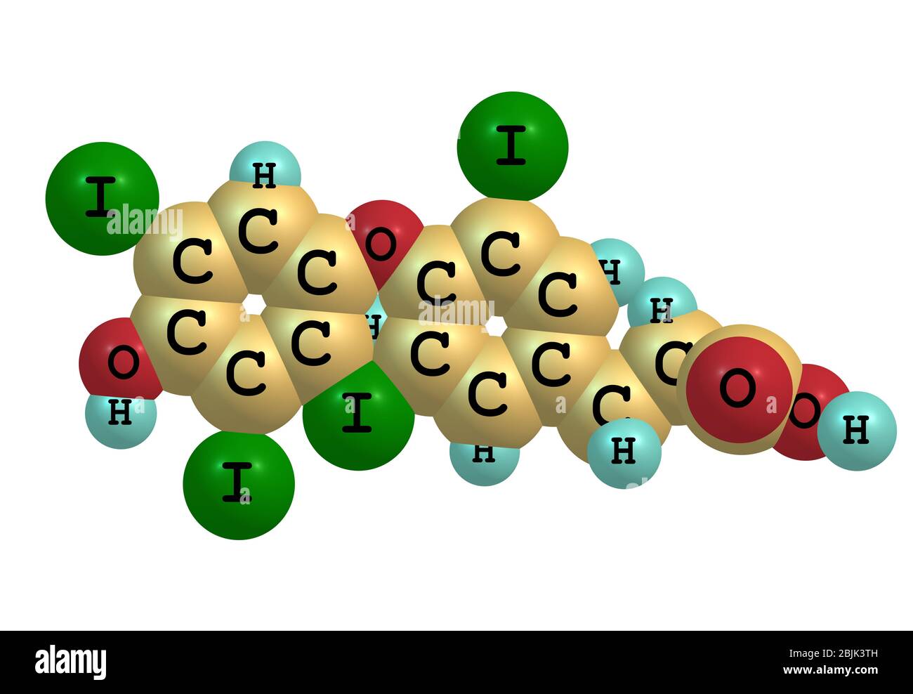 The thyroid hormones (T3 and thyroxine (T4)) are tyrosinebased