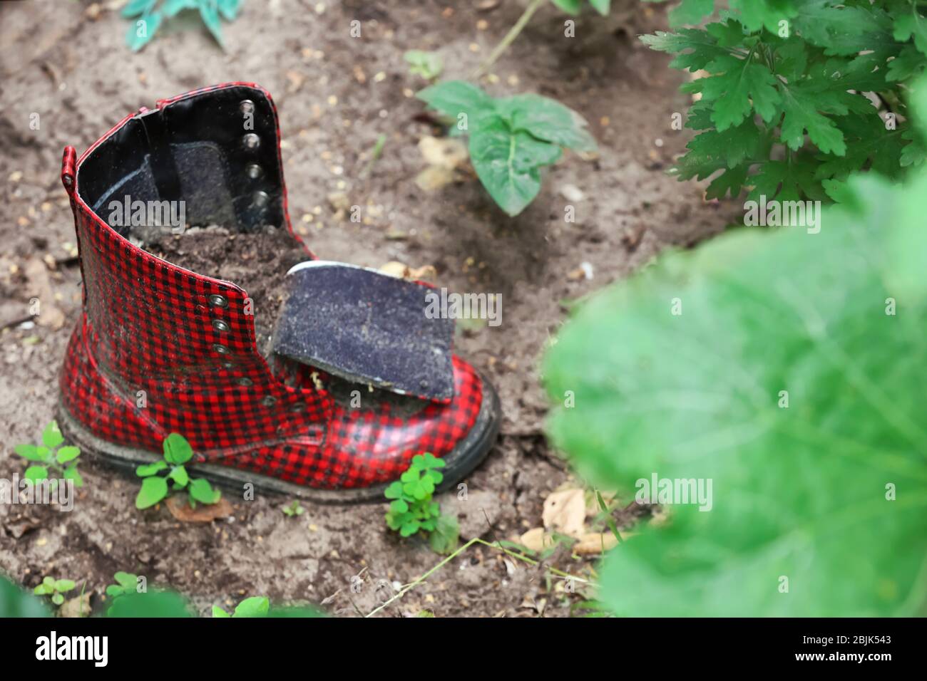 Recycled boot hi-res stock photography and images - Page 2 - Alamy