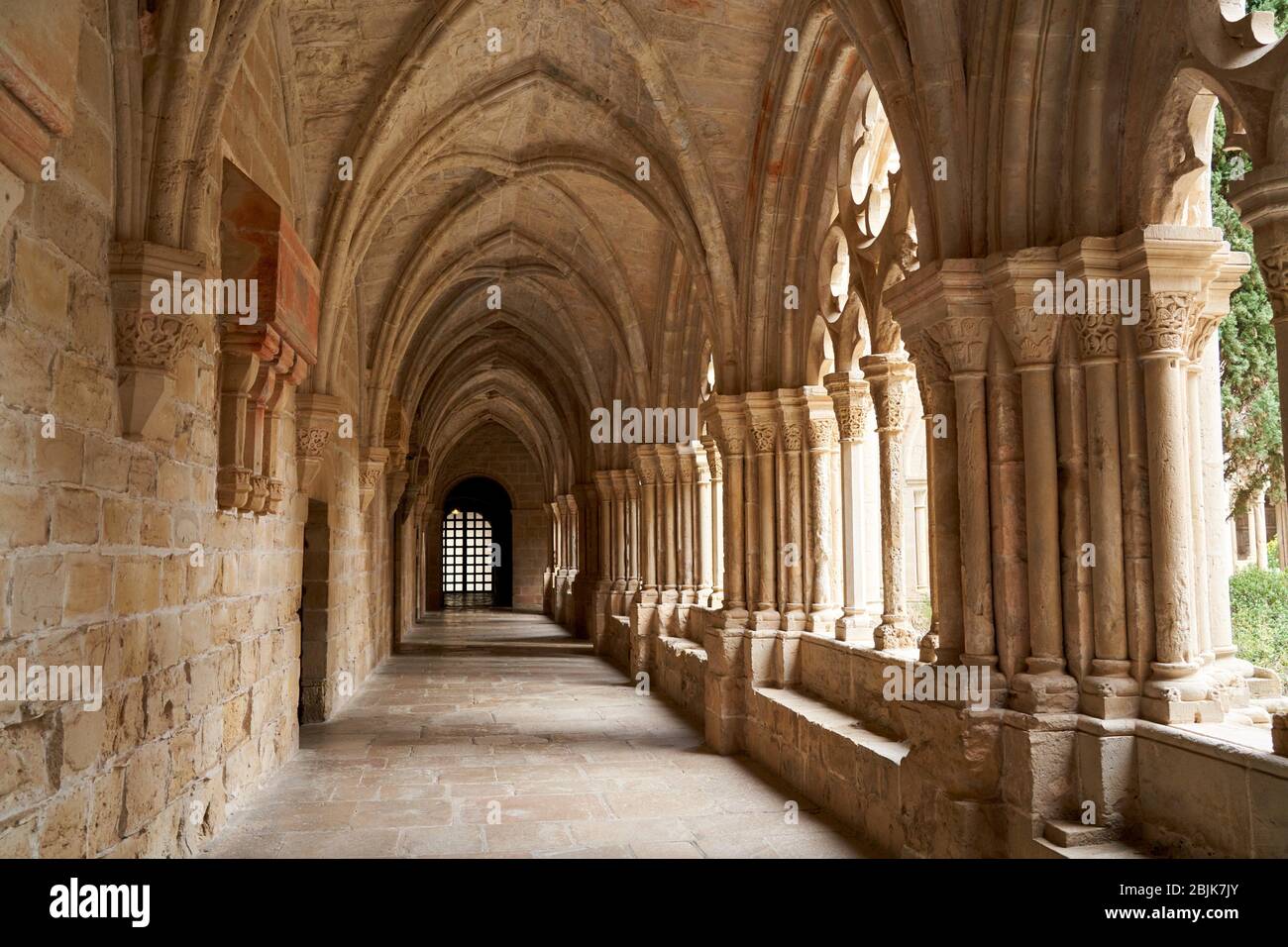 Cloister, Monastery of Santa Maria de Poblet, Tarragona province, Catalonia, Spain, Europe Stock Photo