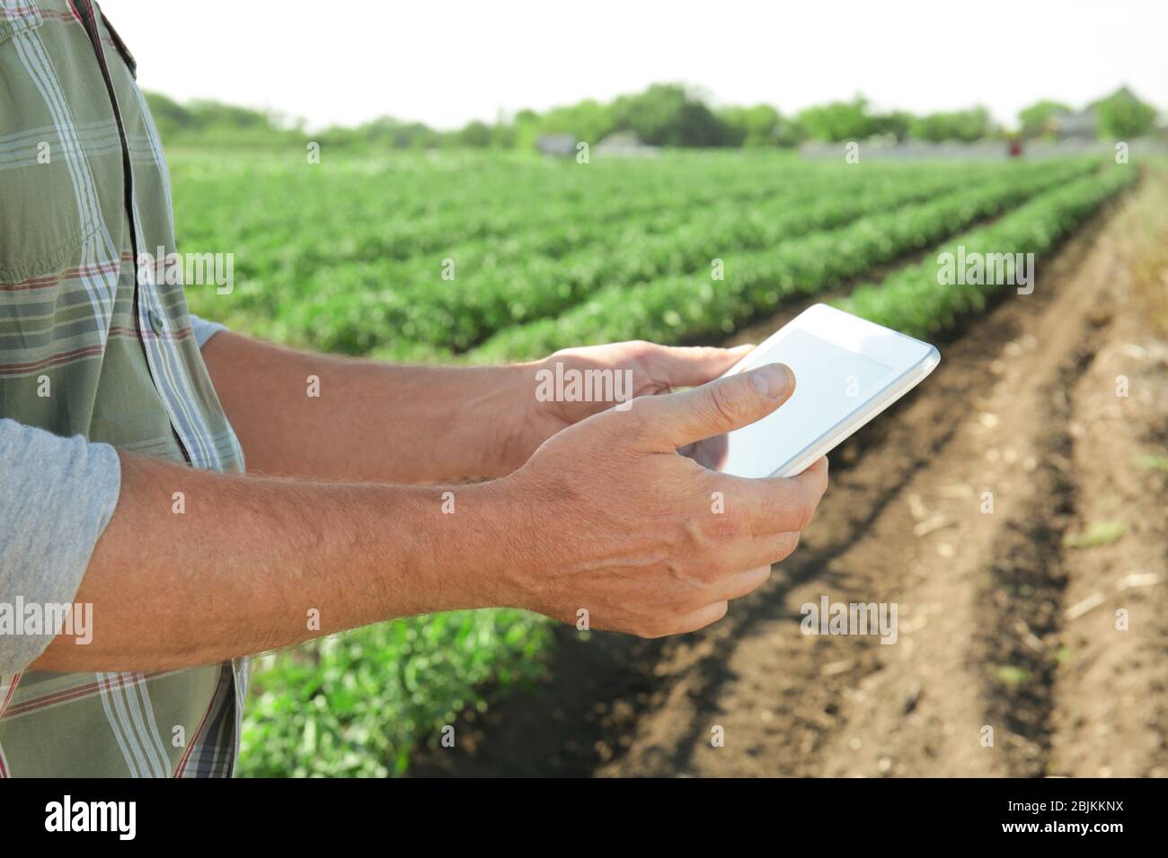 Crop male hands using tablet hi-res stock photography and images - Alamy