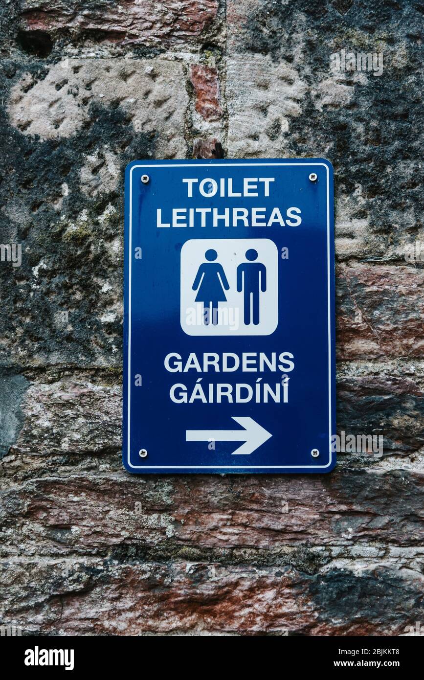 Blue toilet sign with english and gaelic words on brick wall Stock