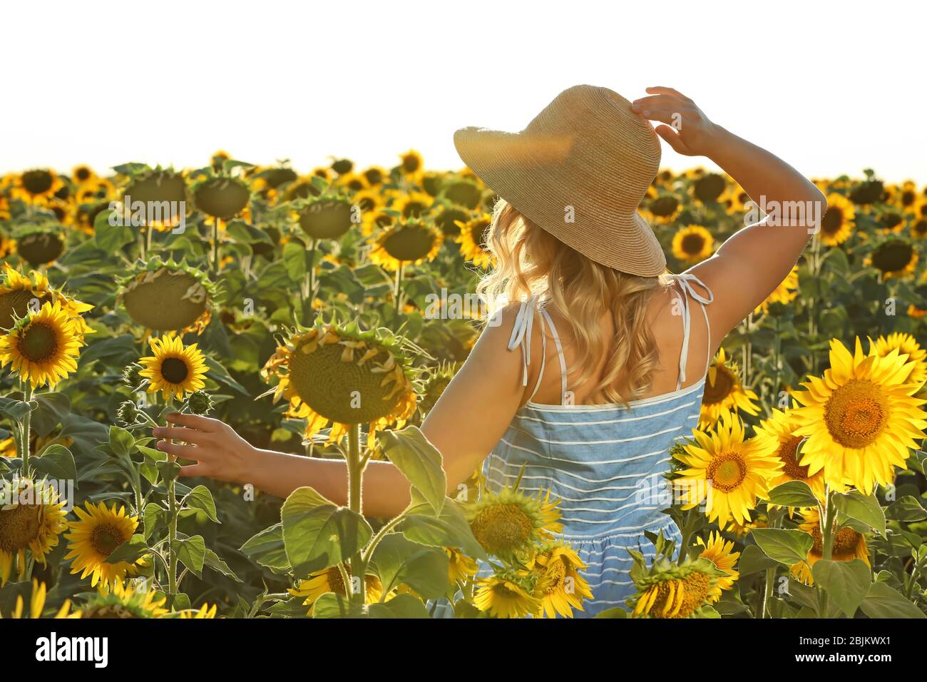 Blonde woman dancing back view hi-res stock photography and images - Alamy