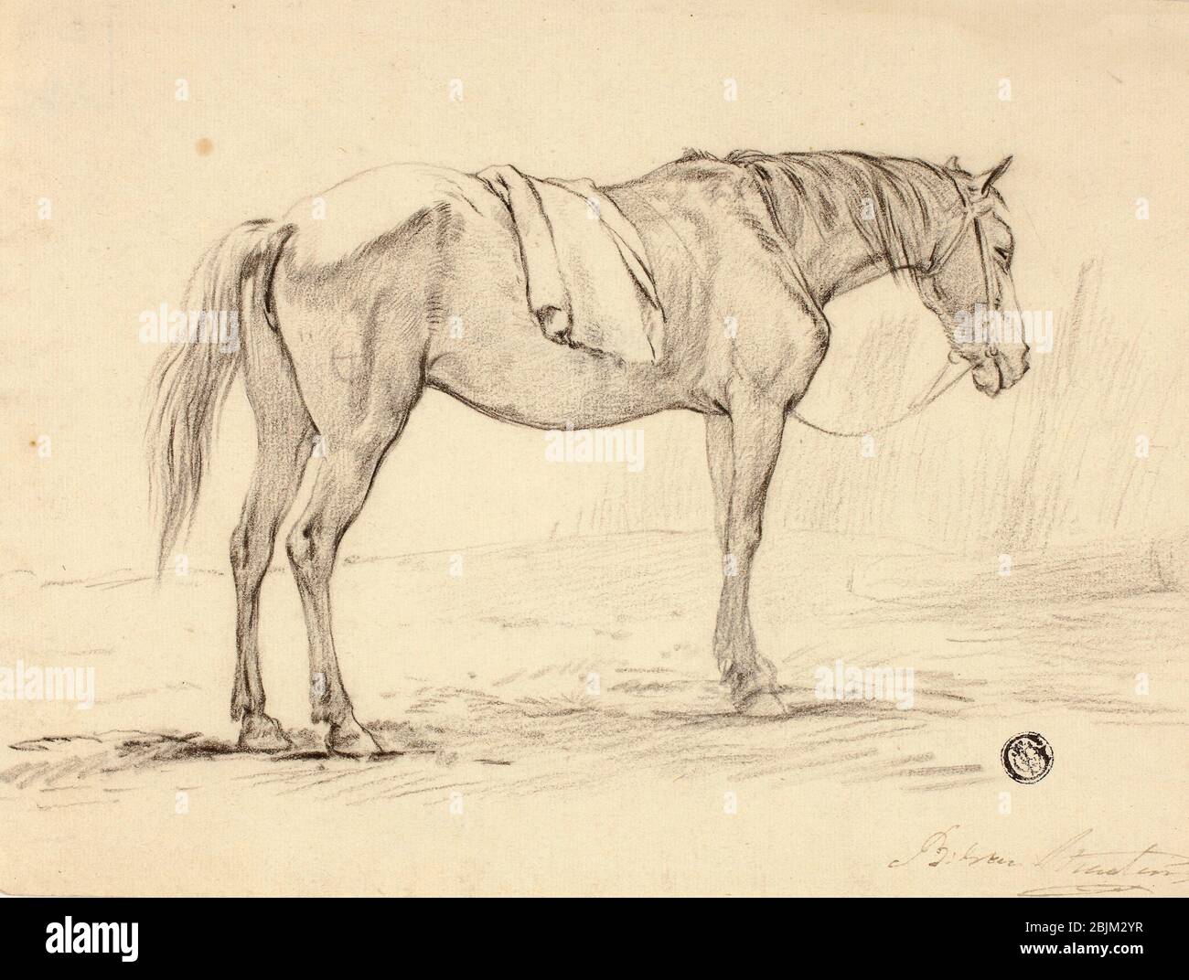 Horse Charcoal Painting  Hinal Shahs Art Studio
