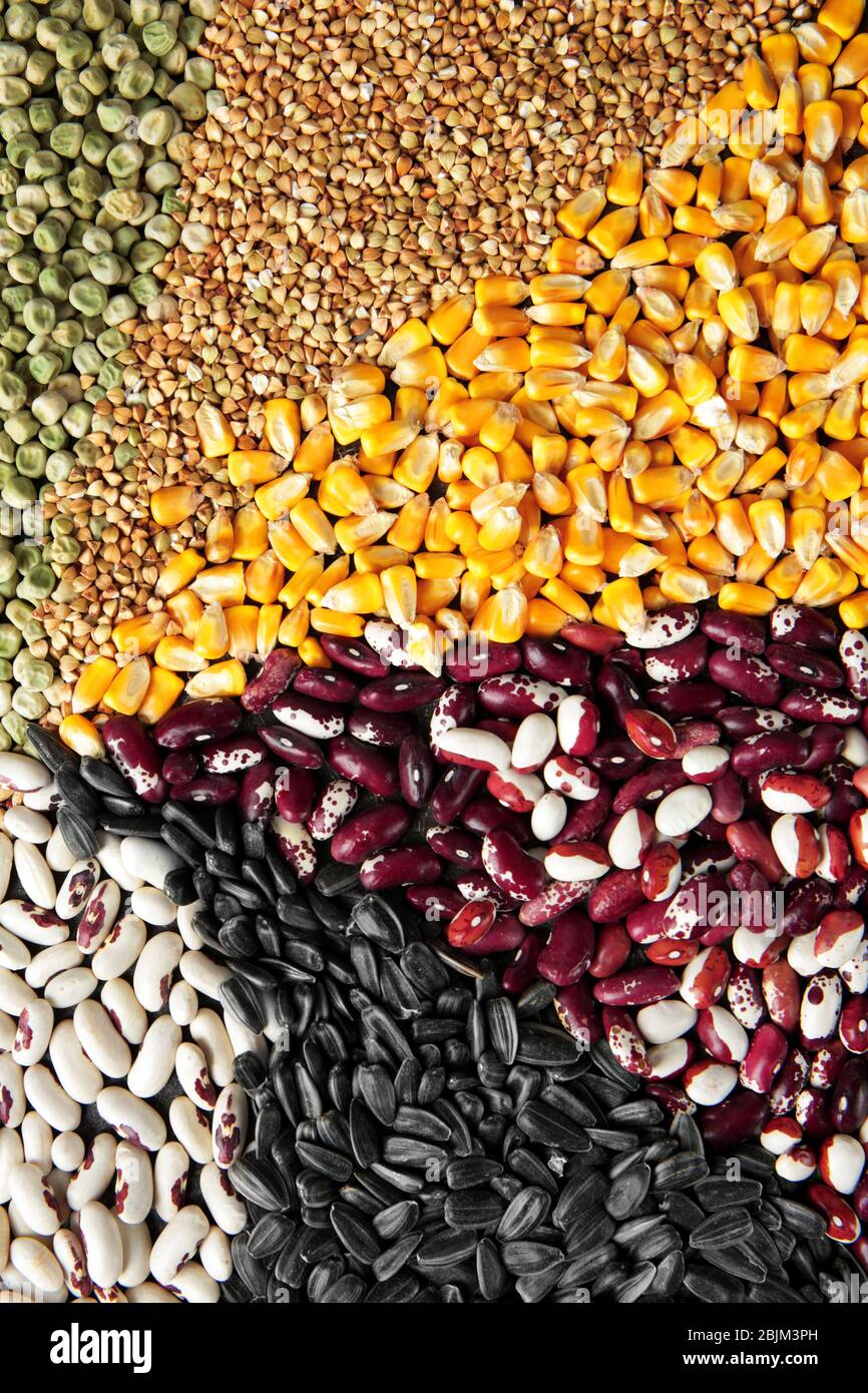 Different types of cereals and legumes Stock Photo Alamy