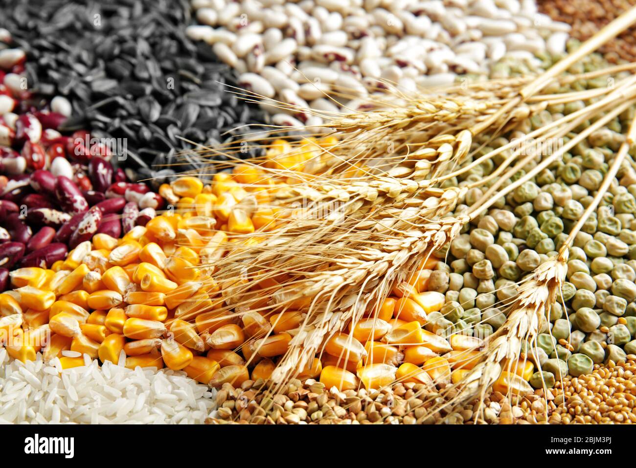 Different types of cereals and legumes, closeup Stock Photo Alamy