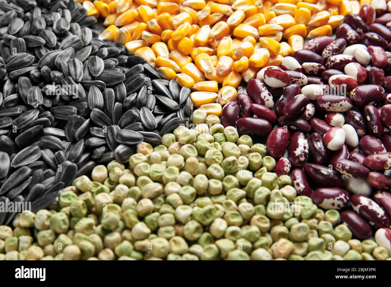 Different types of cereals and legumes, closeup Stock Photo Alamy