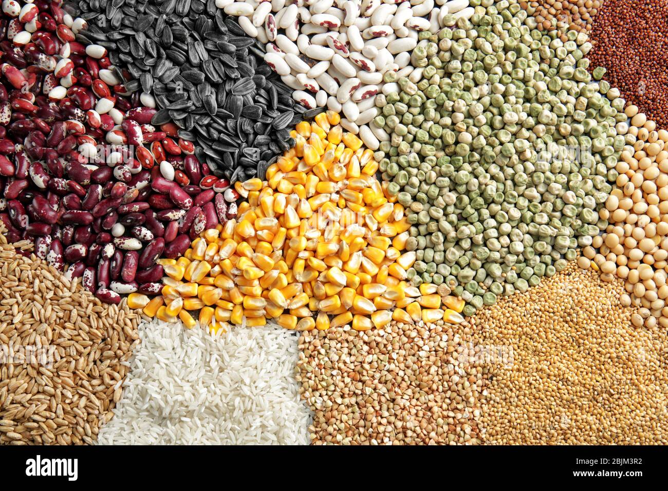 Different types of cereals and legumes, closeup Stock Photo Alamy