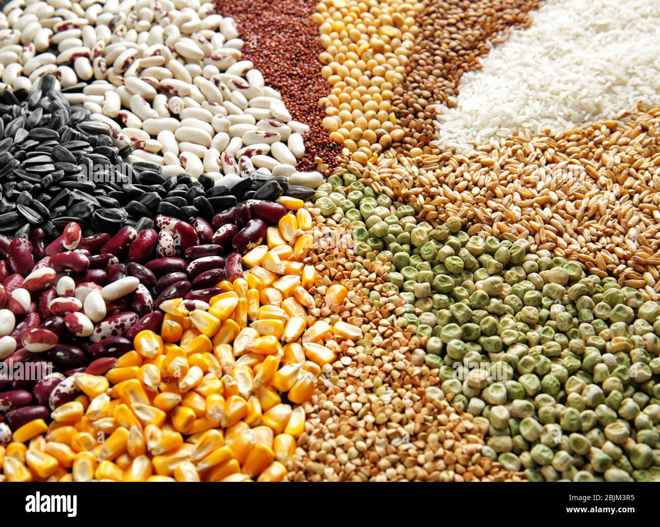 Different types of cereals and legumes, closeup Stock Photo Alamy