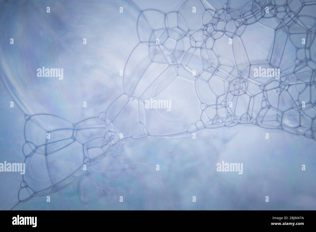 Macro shots soapy water bubbles close-up Stock Photo