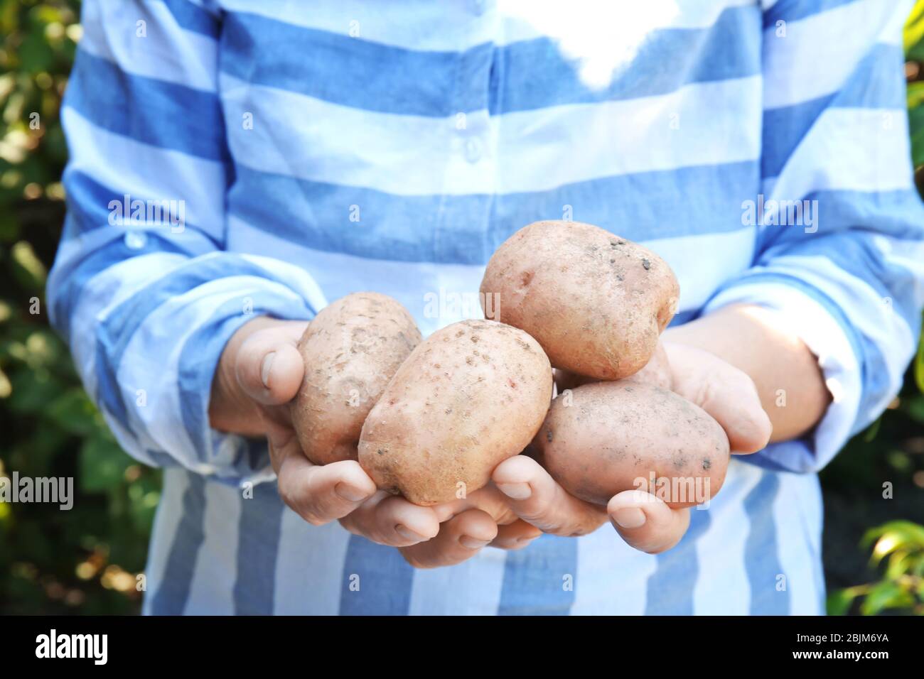 Female farmer holding fresh potatoes outdoors Stock Photo