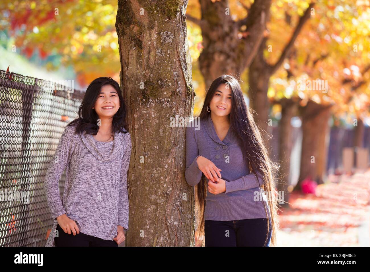 Two biracial teen girls or young women standing next to maple tree with colorful autumn leaves Stock Photo