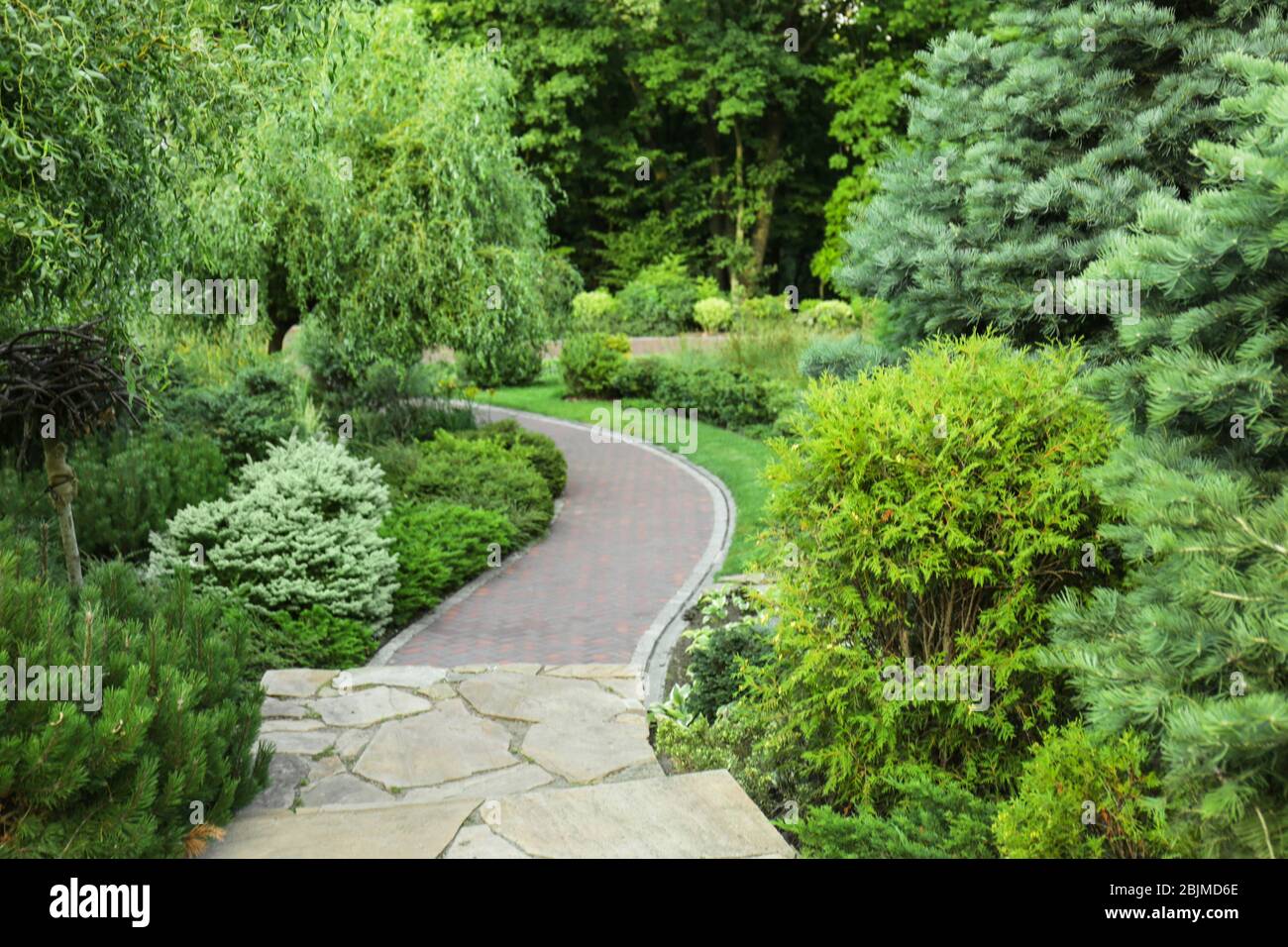 Beautiful green park on summer day Stock Photo - Alamy