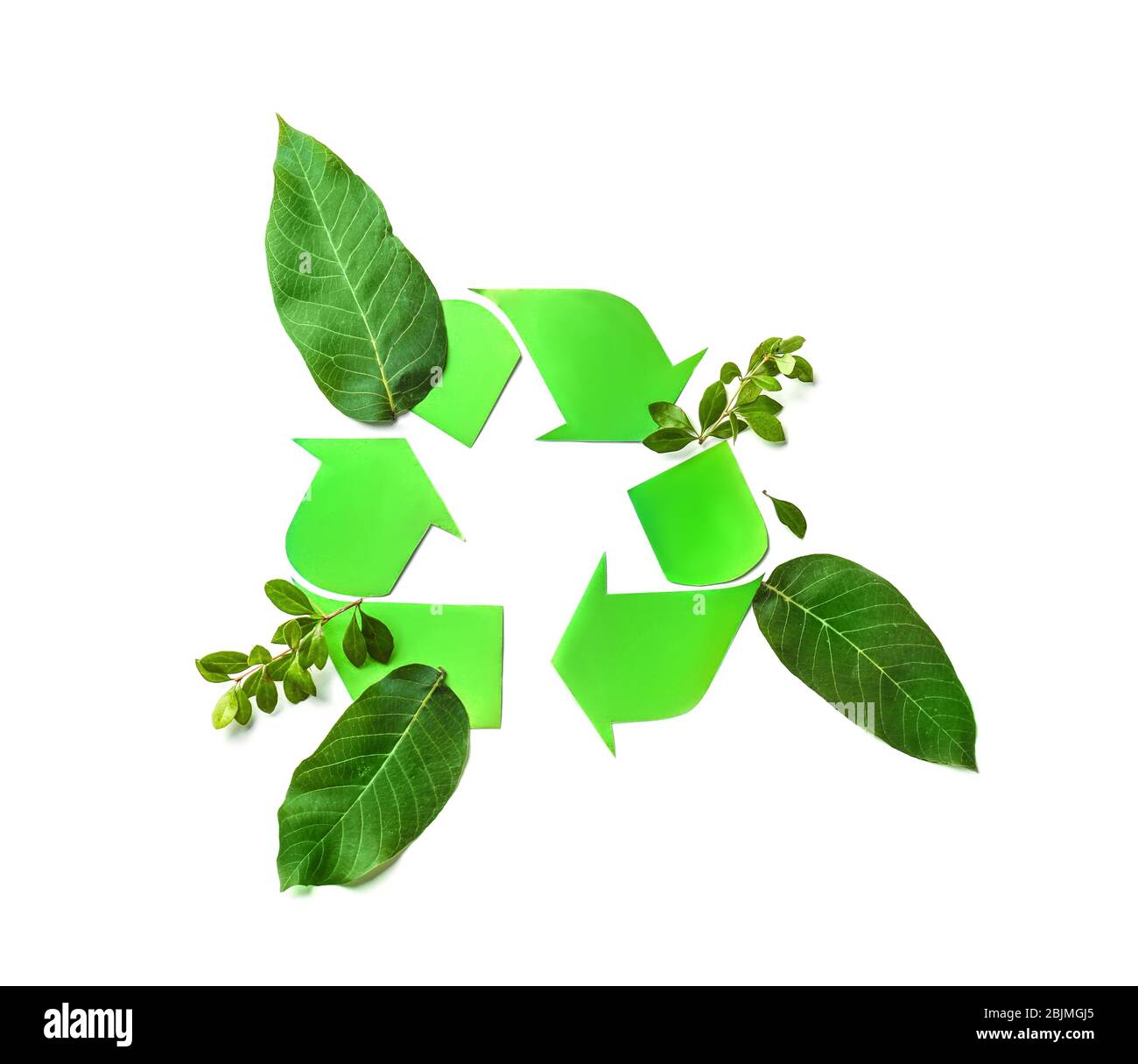 Symbol of recycling with leaves isolated on white Stock Photo - Alamy