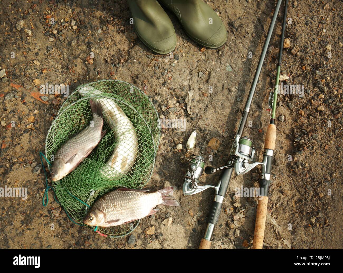 Fishes in net hi-res stock photography and images - Alamy