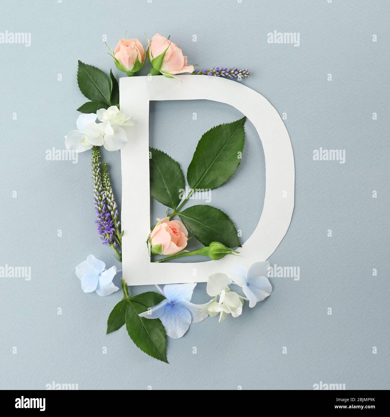 Composition with letter D and beautiful flowers on color background Stock Photo