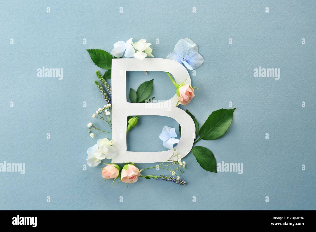Composition with letter B and beautiful flowers on color ...