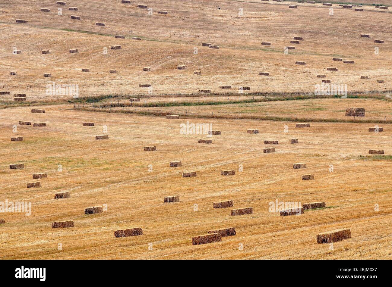 Spanish straw hires stock photography and images Alamy