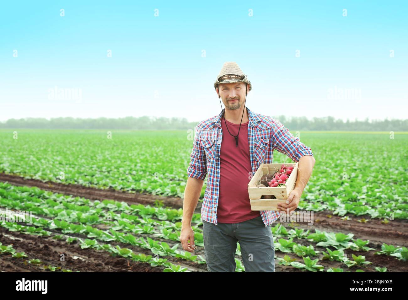 Male farmer holding wooden box with vegetables in field Stock Photo - Alamy