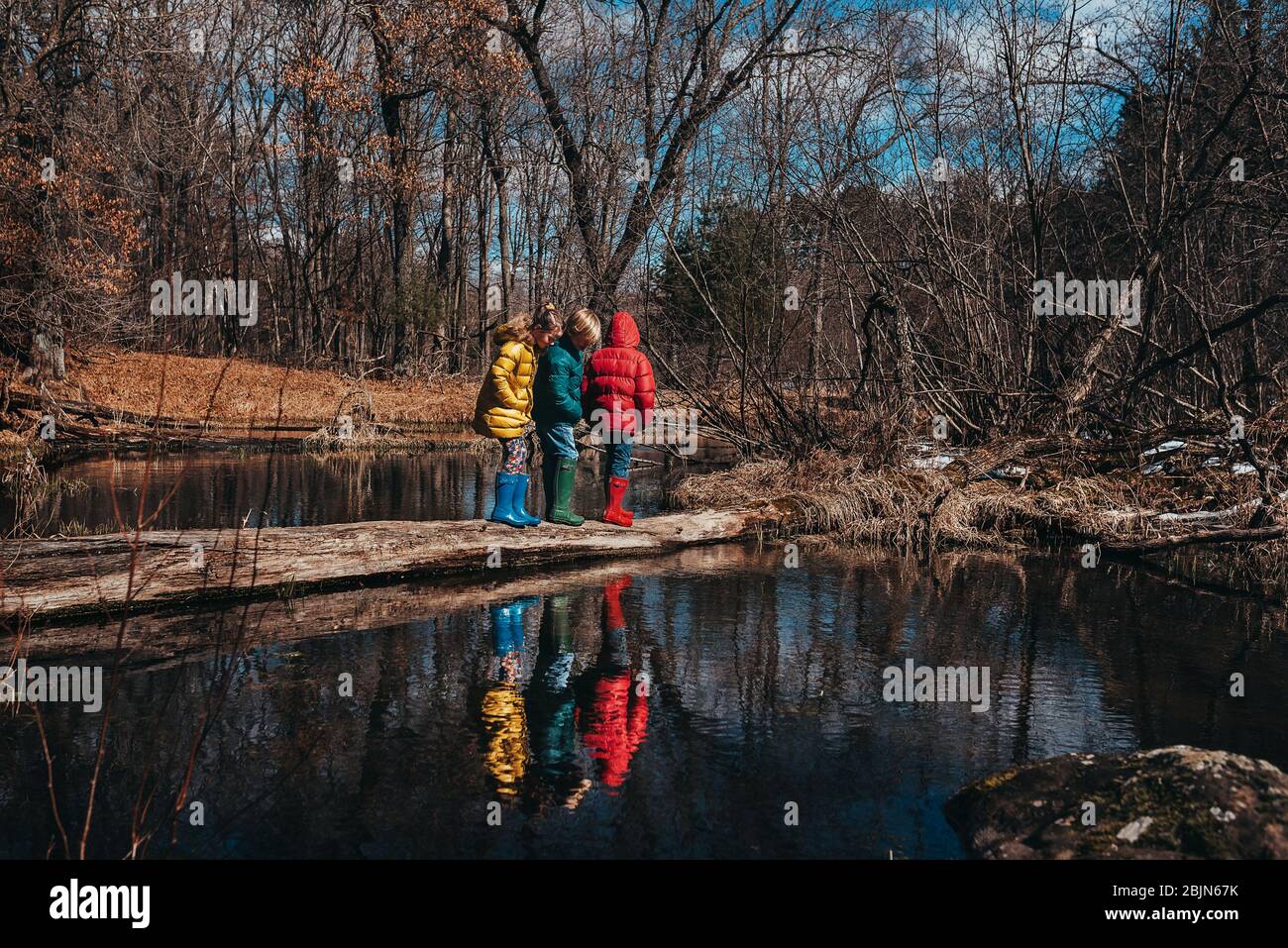 Three children standing on a fallen tree in the river, USA Stock Photo