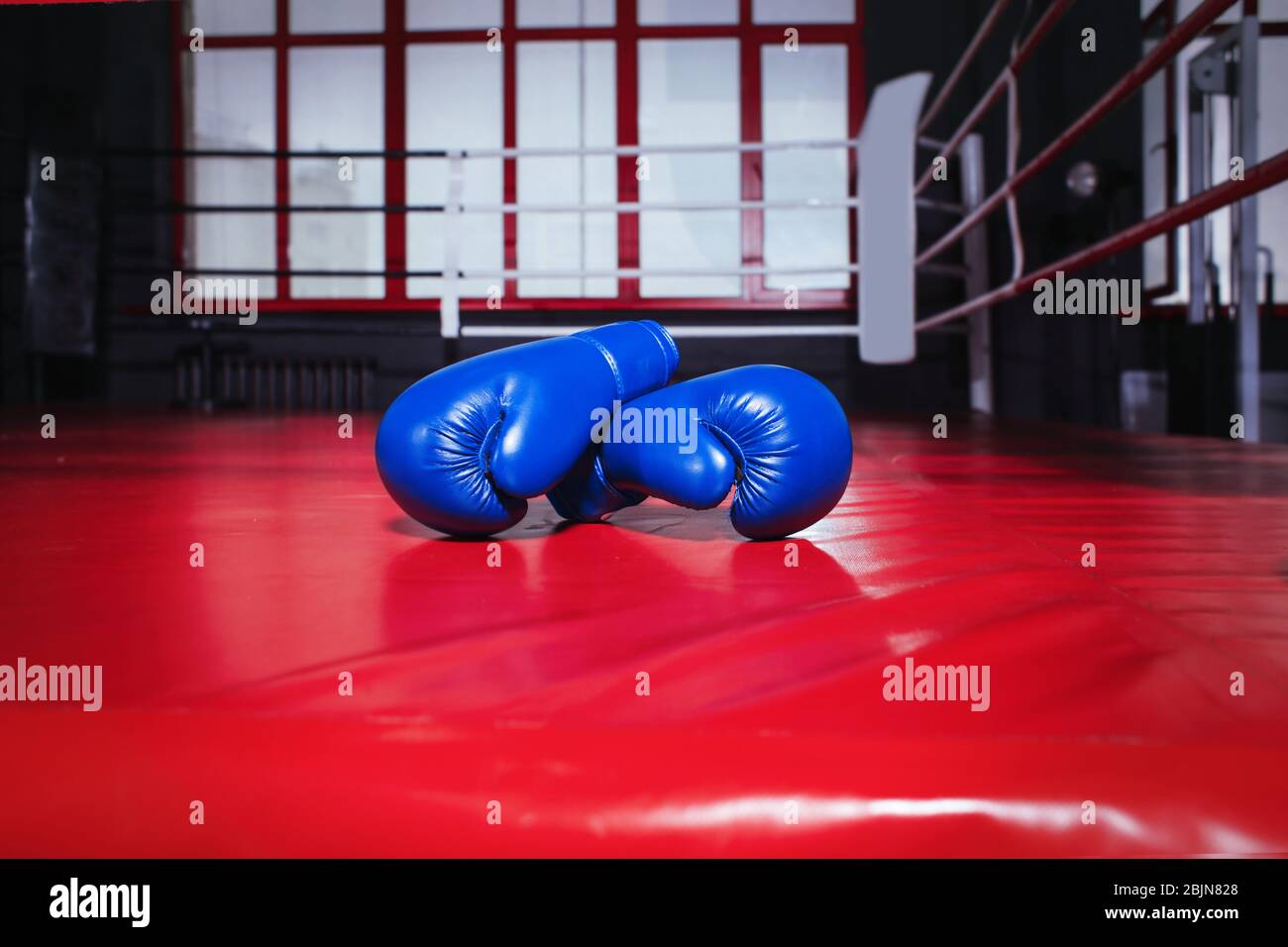 ring boxing gloves