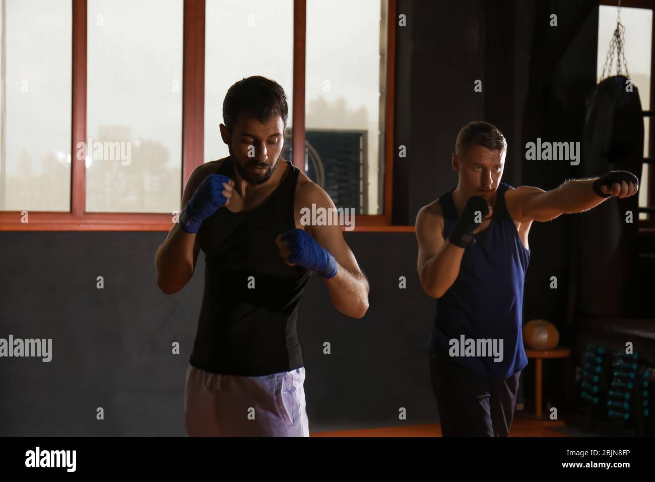 Young professional boxers training in gym Stock Photo - Alamy