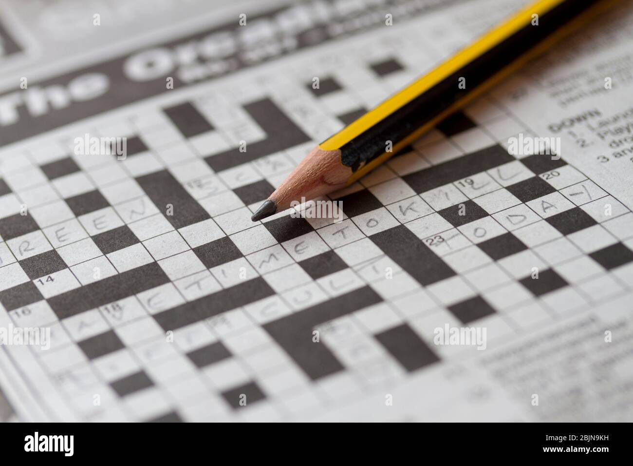 Crossword Puzzle And Pencil Stock Photo Alamy