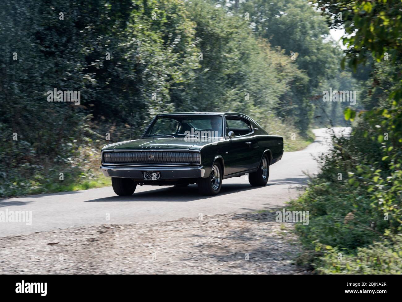 2024 Subaru Solterra Specs \u0026 Colors Tacoma Subaru, image size:1300x979