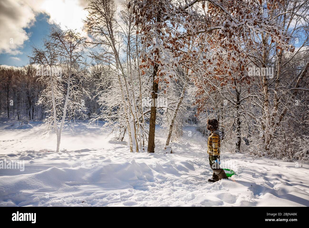 Boy pulling a sledge through the snow, USA Stock Photo