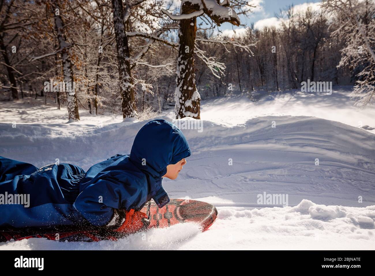 Boy sledding down a hill in the snow, USA Stock Photo Alamy