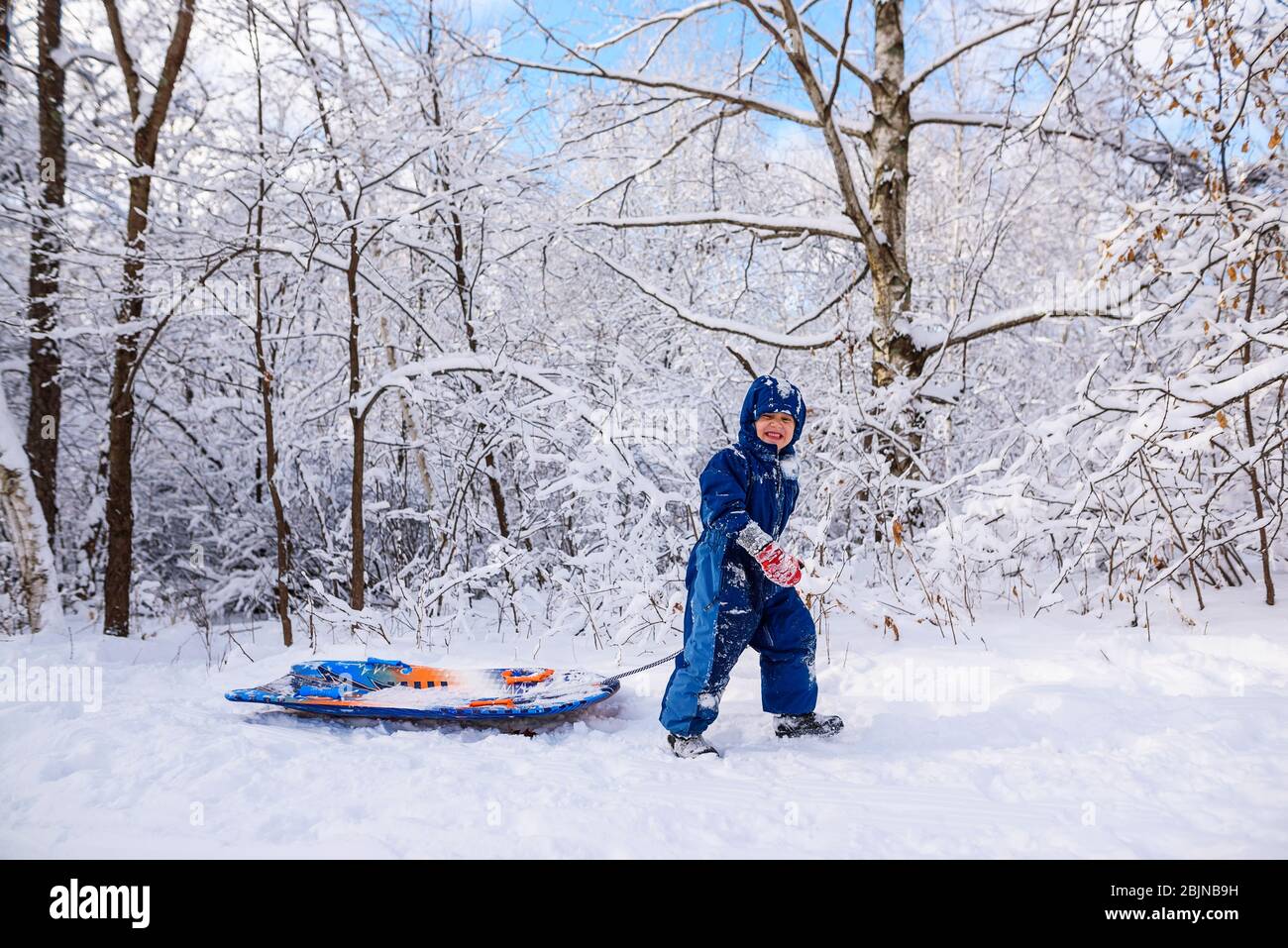 Boy pulling a sledge through the snow, USA Stock Photo