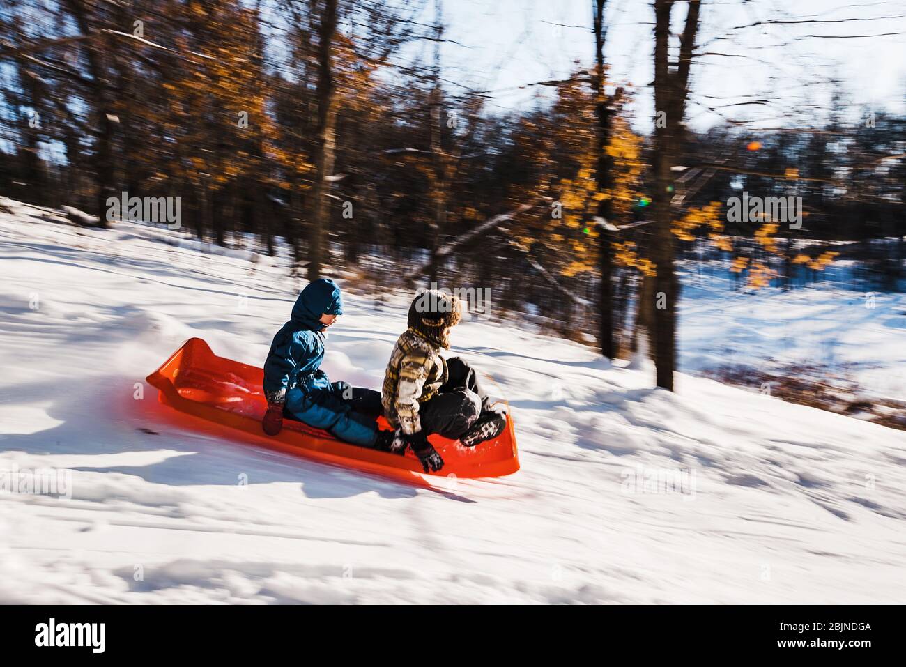 Two boys sledding down a hill, USA Stock Photo
