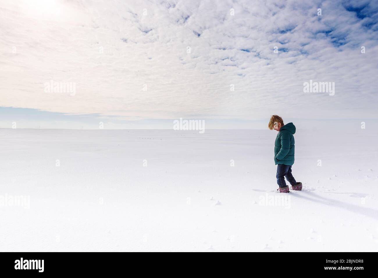 Boy walking through deep snow in a  field, USA Stock Photo