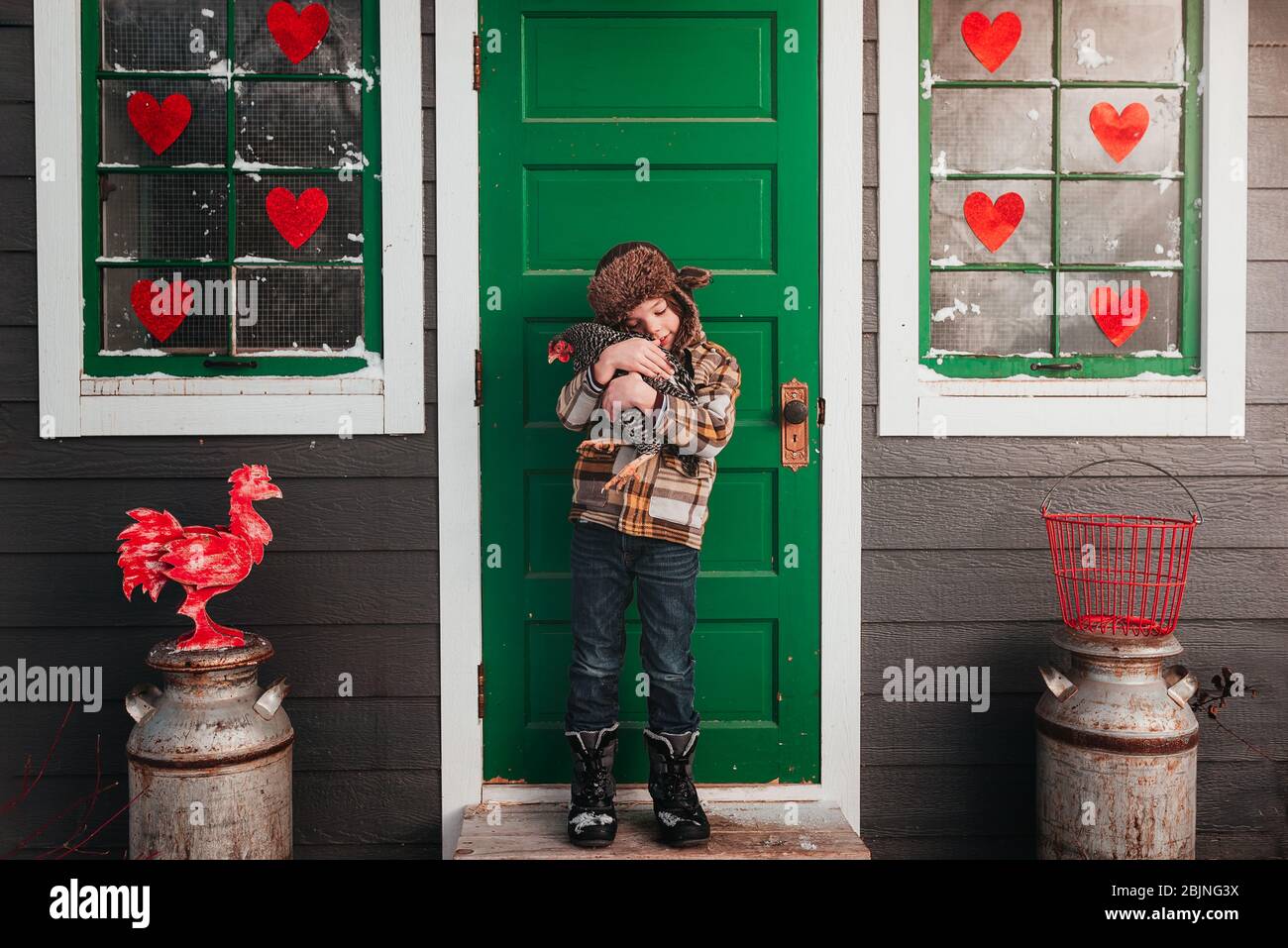Boy standing in front of a chicken coop hugging a chicken, USA Stock Photo