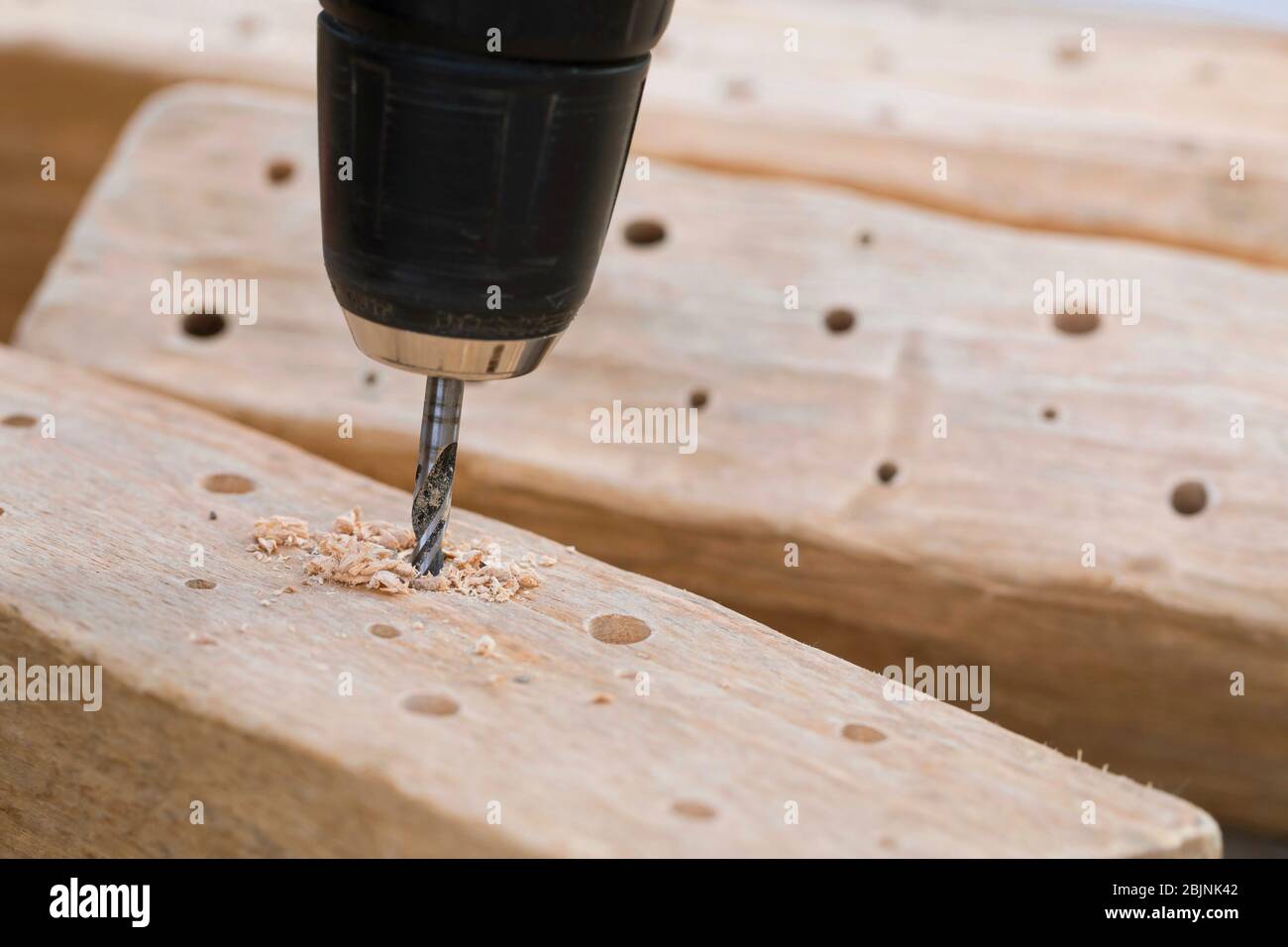 nesting aid for wild bees, drilling holes in hardwood Stock Photo