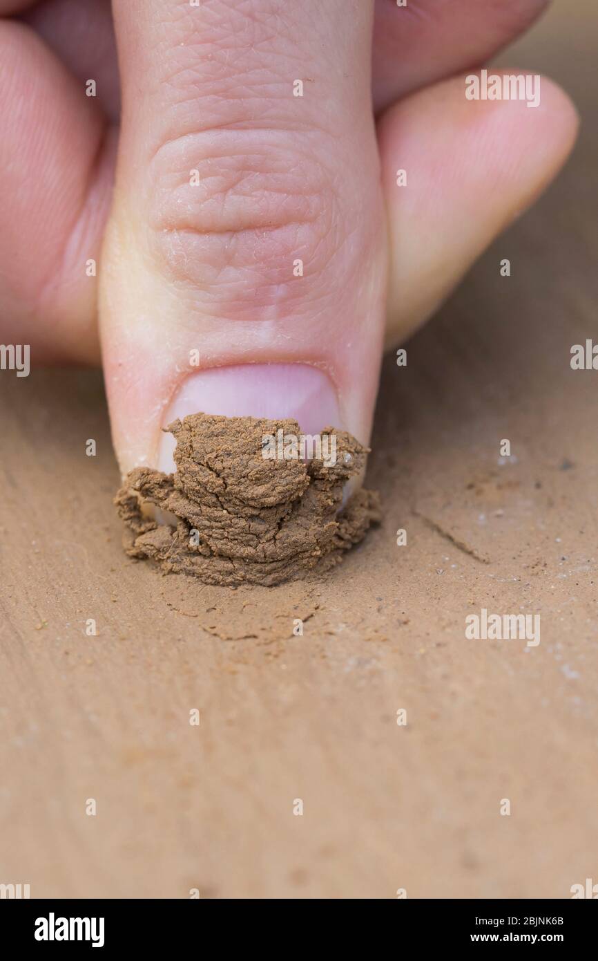wild bee nesting aid made with mud, test with finger series picture 4/5, Germany Stock Photo