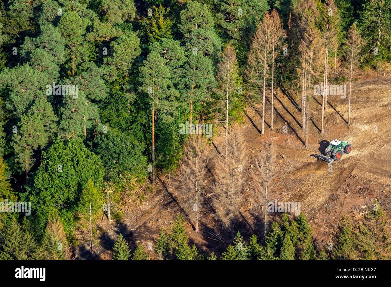 building land in a forest, 27.09.2019, aerial view, Germany, North Rhine-Westphalia, Sauerland, Menden Stock Photo