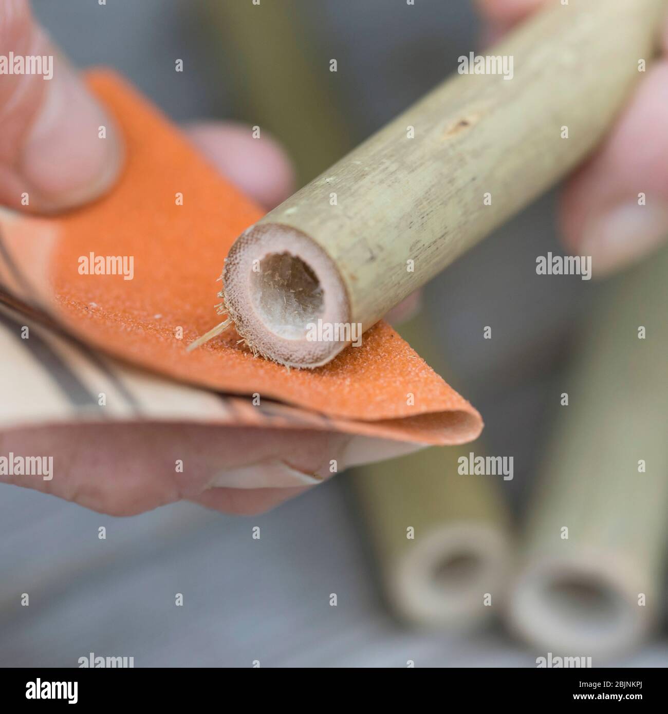 nesting aid for wild bees, step two: smoothing bamboo with emery paper Stock Photo