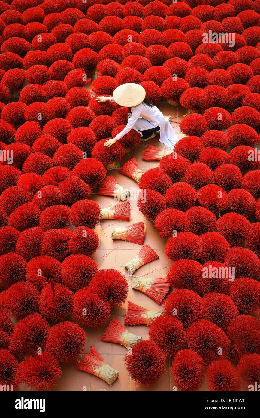 Woman gathering dried Incense sticks, Hanoi, Vietnam Stock Photo