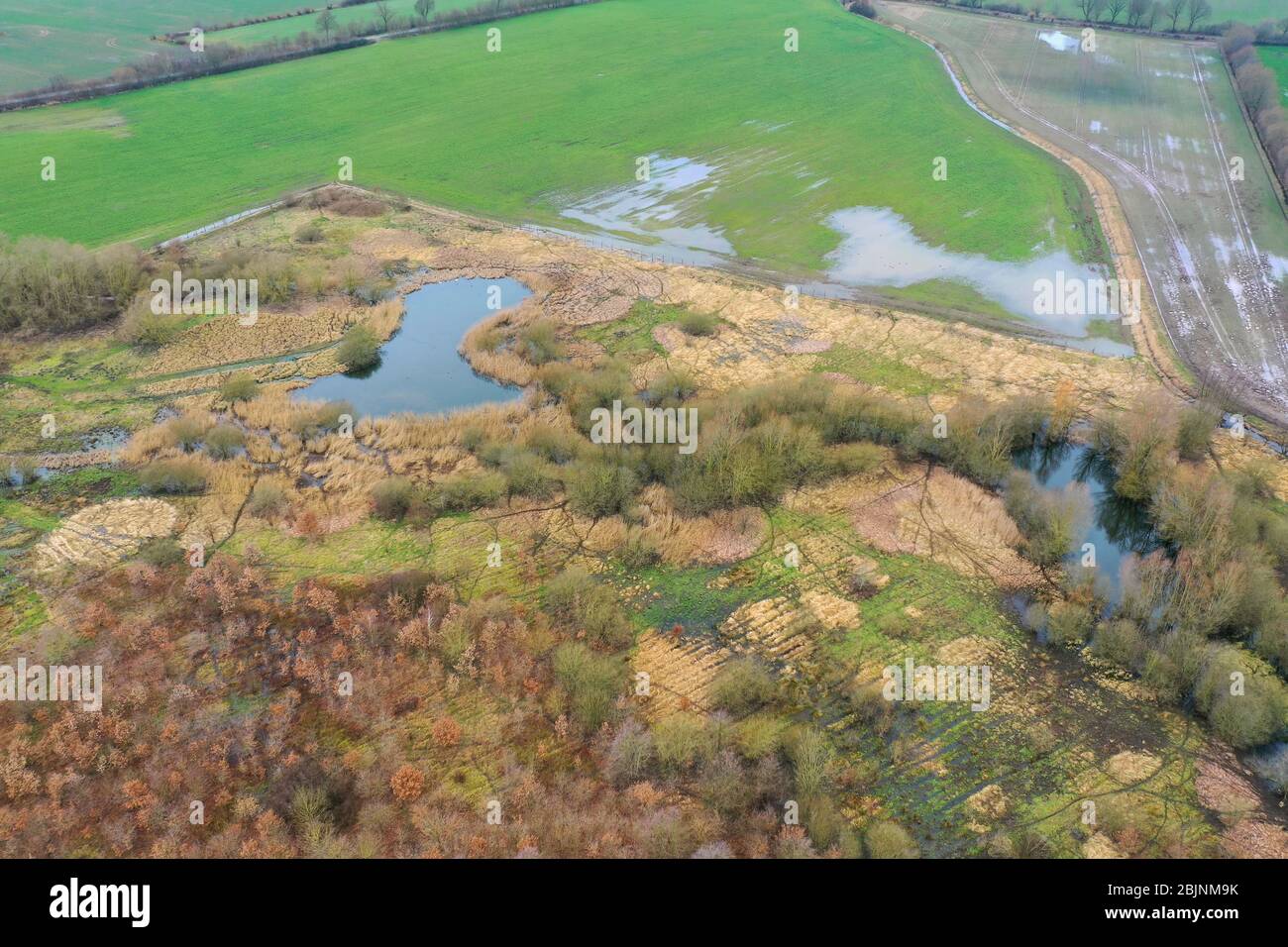 flooded nature conservation project Steinbruchwiesen in february, Germany, Schleswig-Holstein, Ritzerau Stock Photo