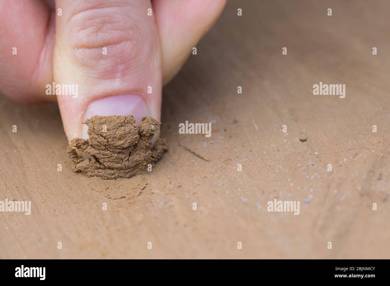 wild bee nesting aid made with mud, test with finger series picture 4/5, Germany Stock Photo