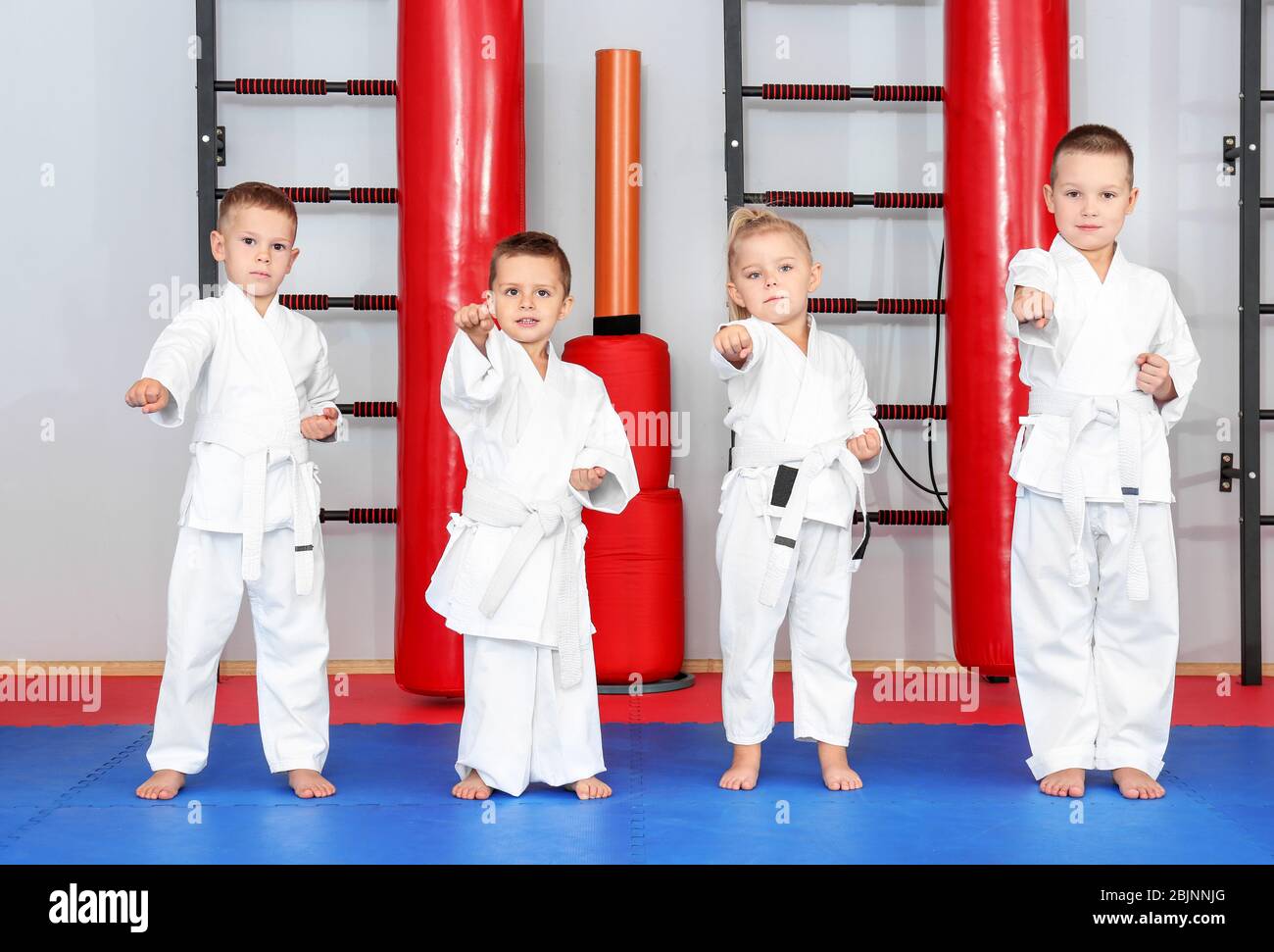 Little children practicing karate in dojo Stock Photo - Alamy