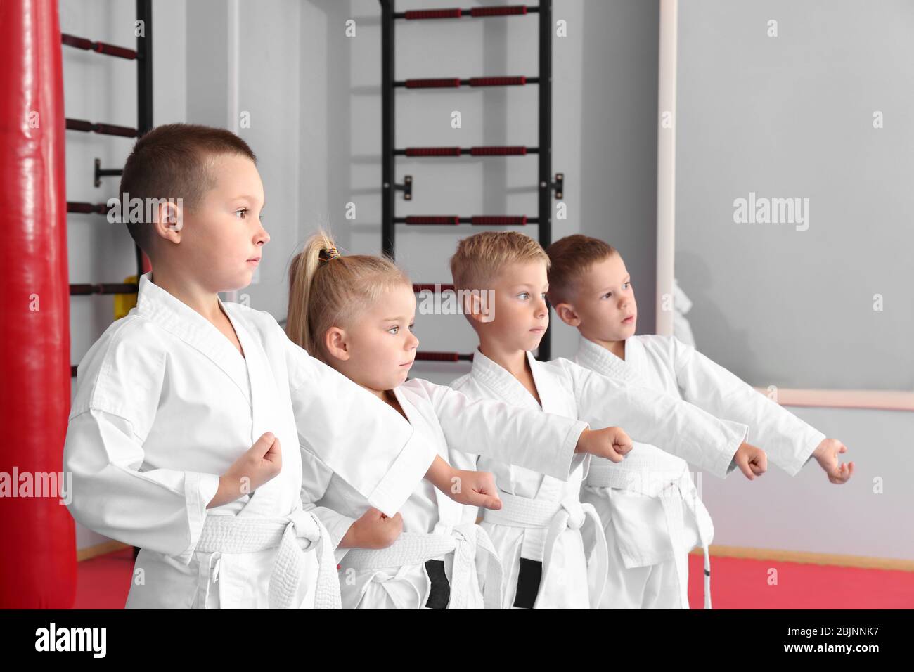 Little children practicing karate in dojo Stock Photo - Alamy